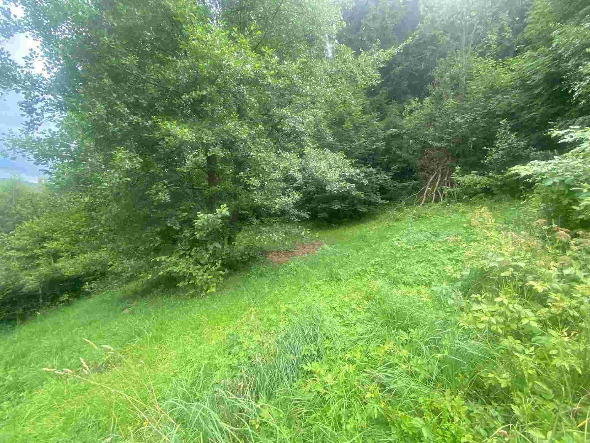 Prodej pozemku 1004 m² - foto 4