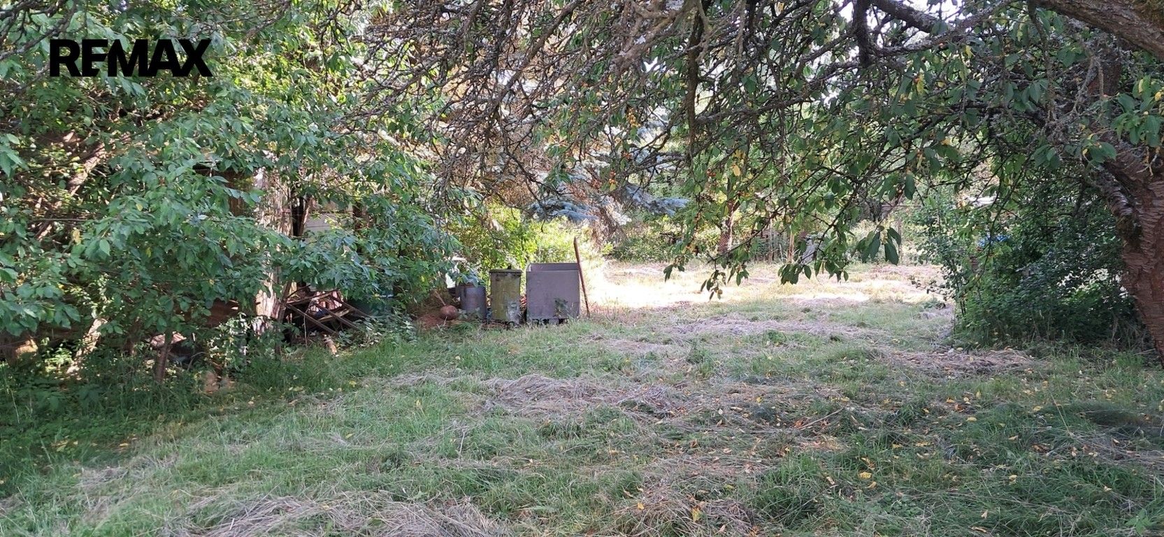 Prodej pozemku 4438 m² - foto 3