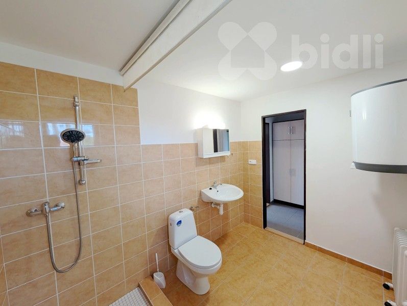 Pronájem bytu 1+kk 31 m² - foto 5