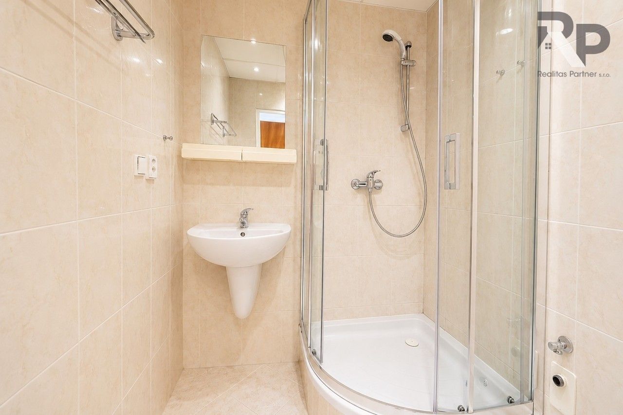 Pronájem bytu 3+1 73 m² - foto 10
