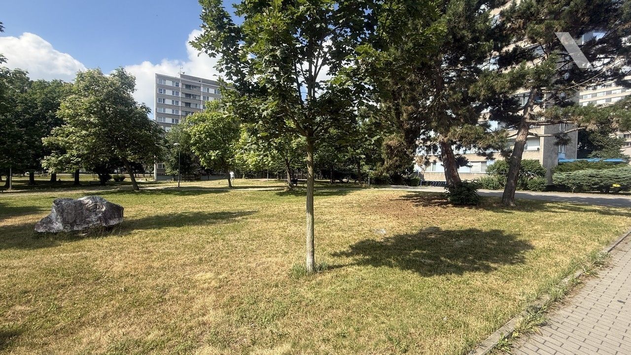 Pronájem bytu 3+1 73 m² - foto 16