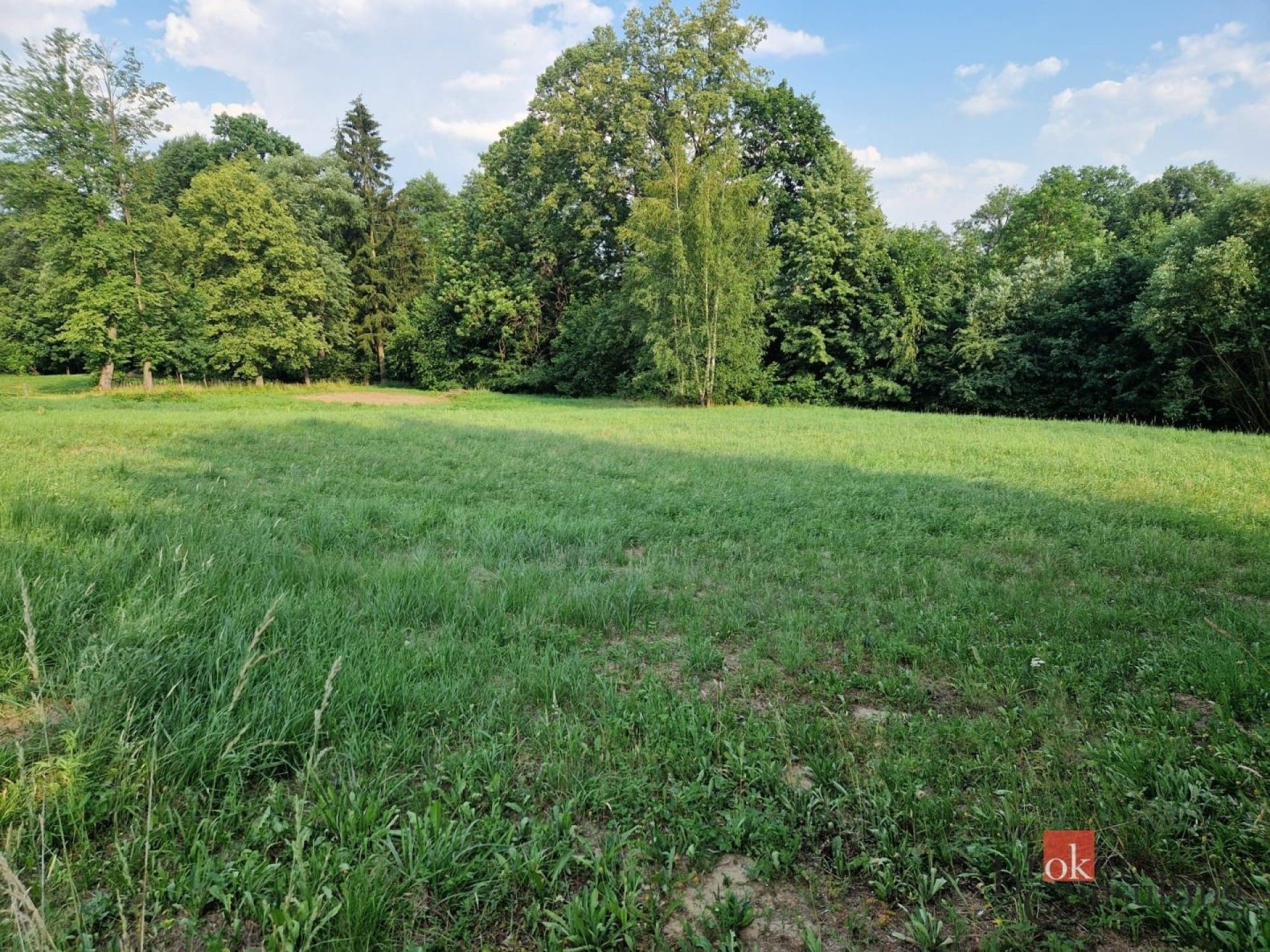 Prodej pozemku 3023 m² - foto 5