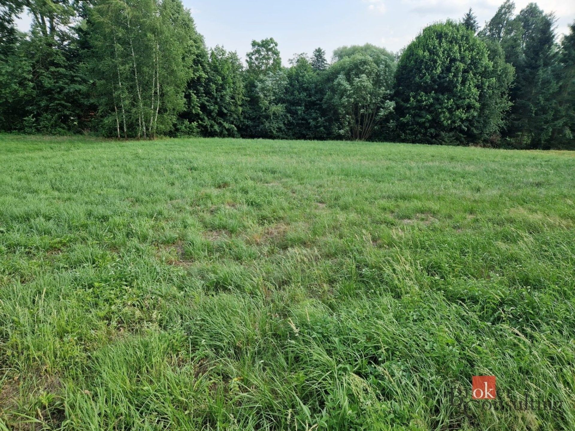 Prodej pozemku 3023 m² - foto 4