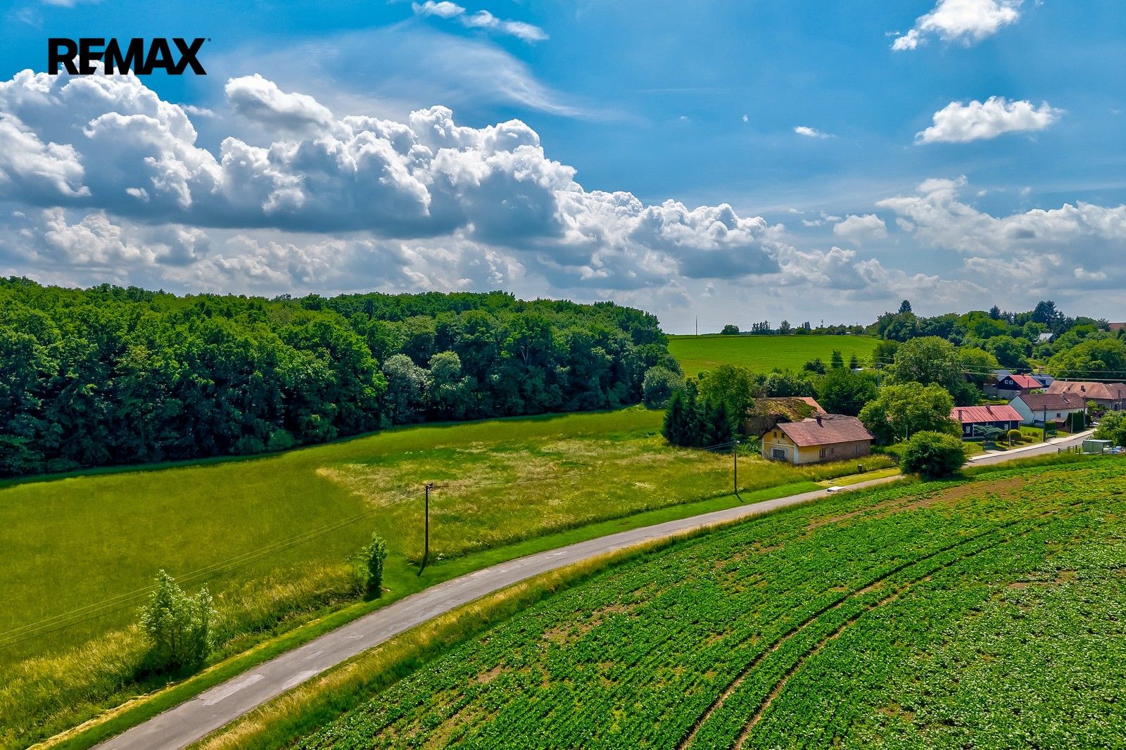 Prodej pozemku 1305 m² - foto 1