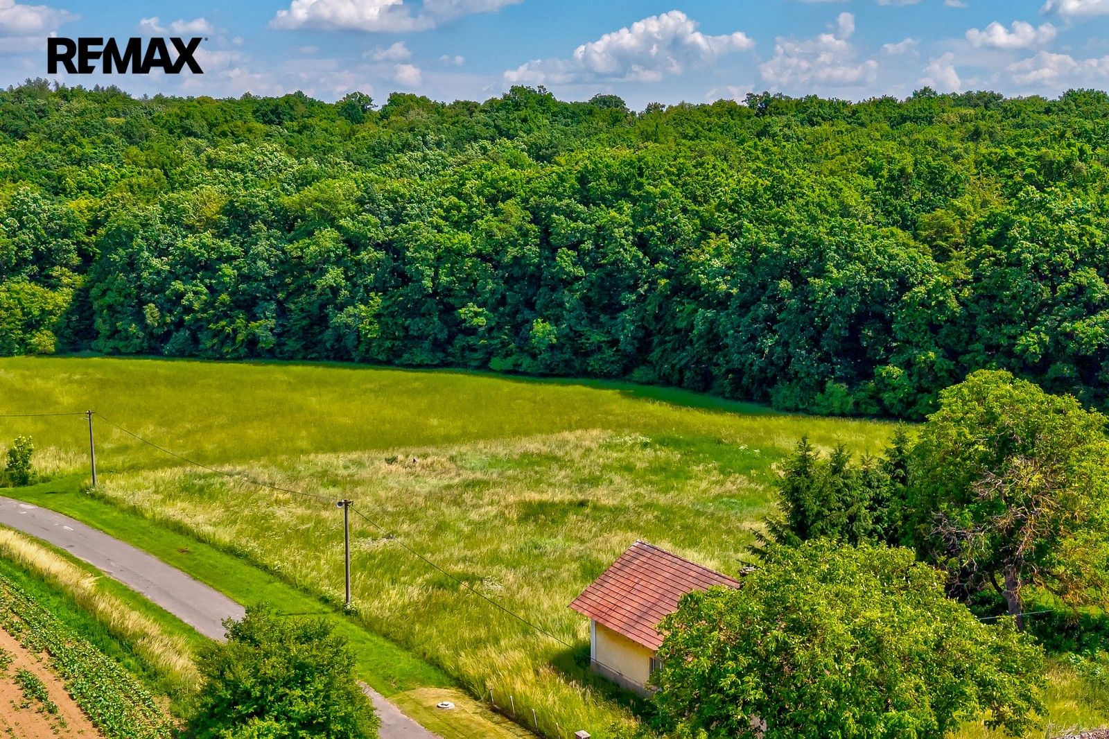 Prodej pozemku 1305 m² - foto 4