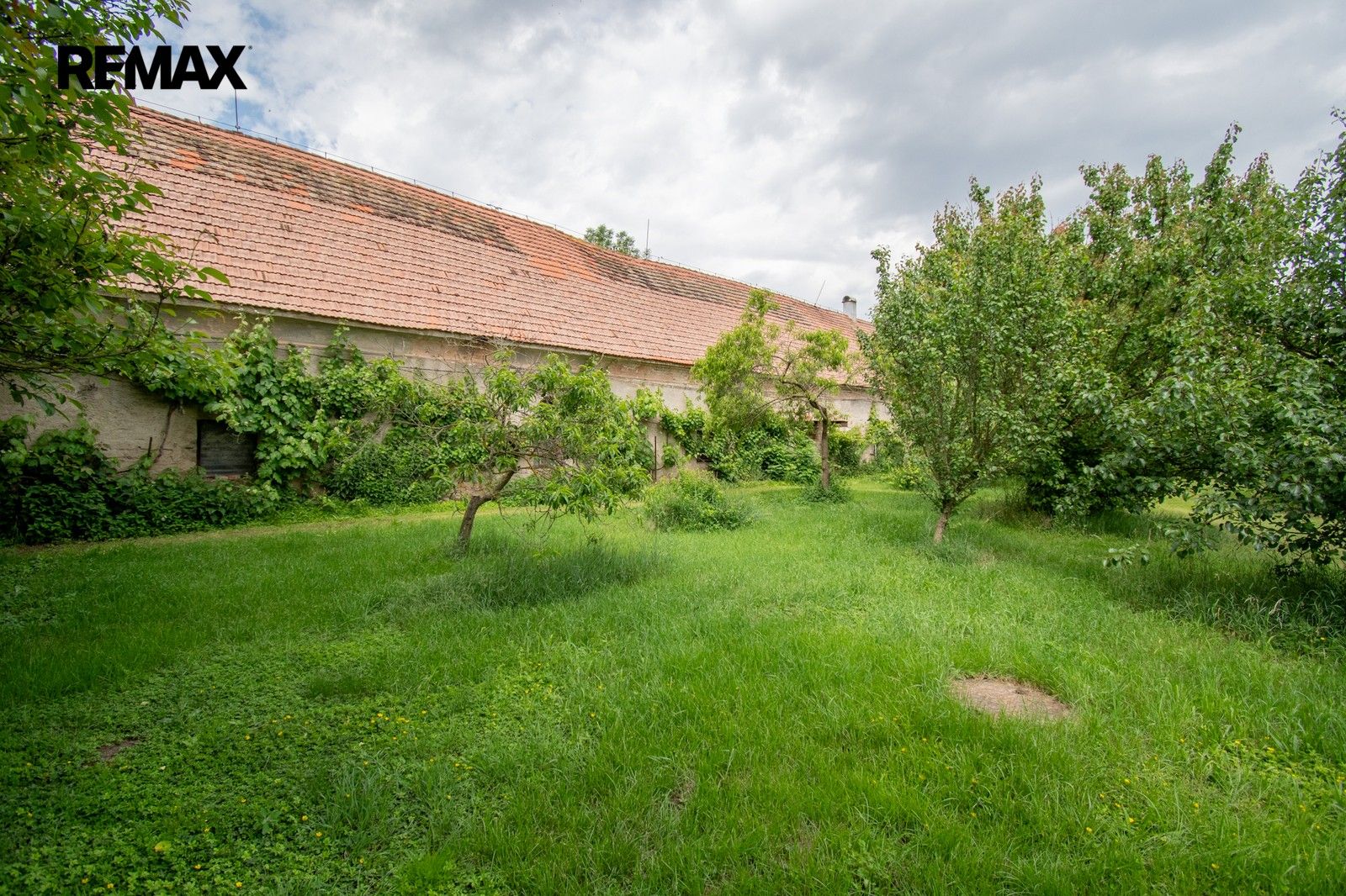 Prodej domu 1000 m² - foto 4