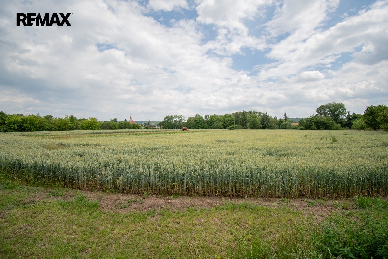 Prodej domu 1000 m² - foto 17