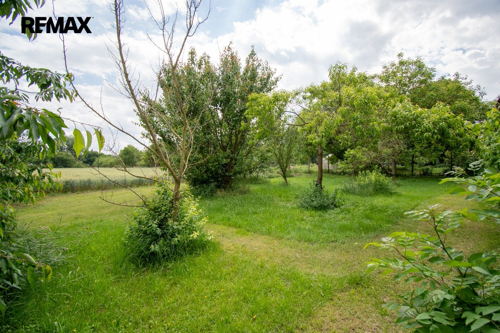 Prodej domu 1000 m² - foto 19