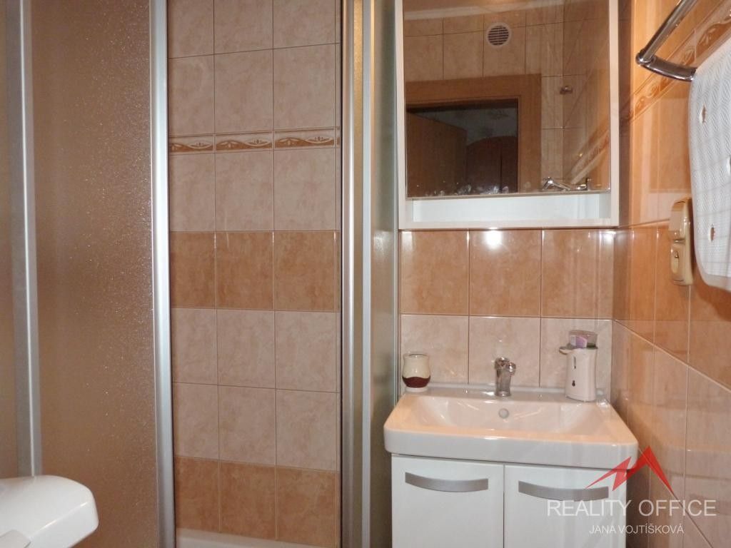Pronájem bytu 2+1 47 m² - foto 13