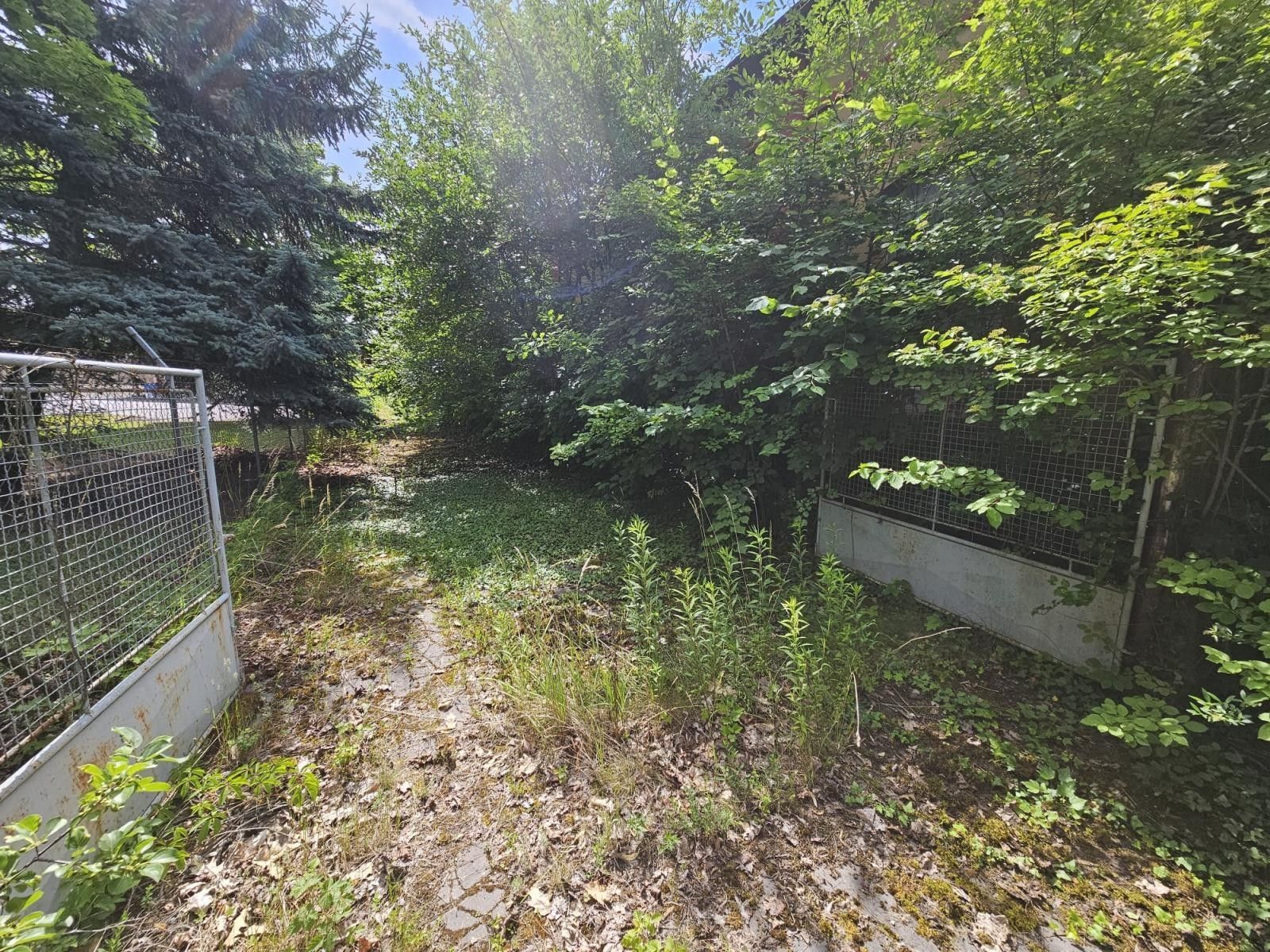 Prodej komerčního prostoru 3085 m² - foto 24