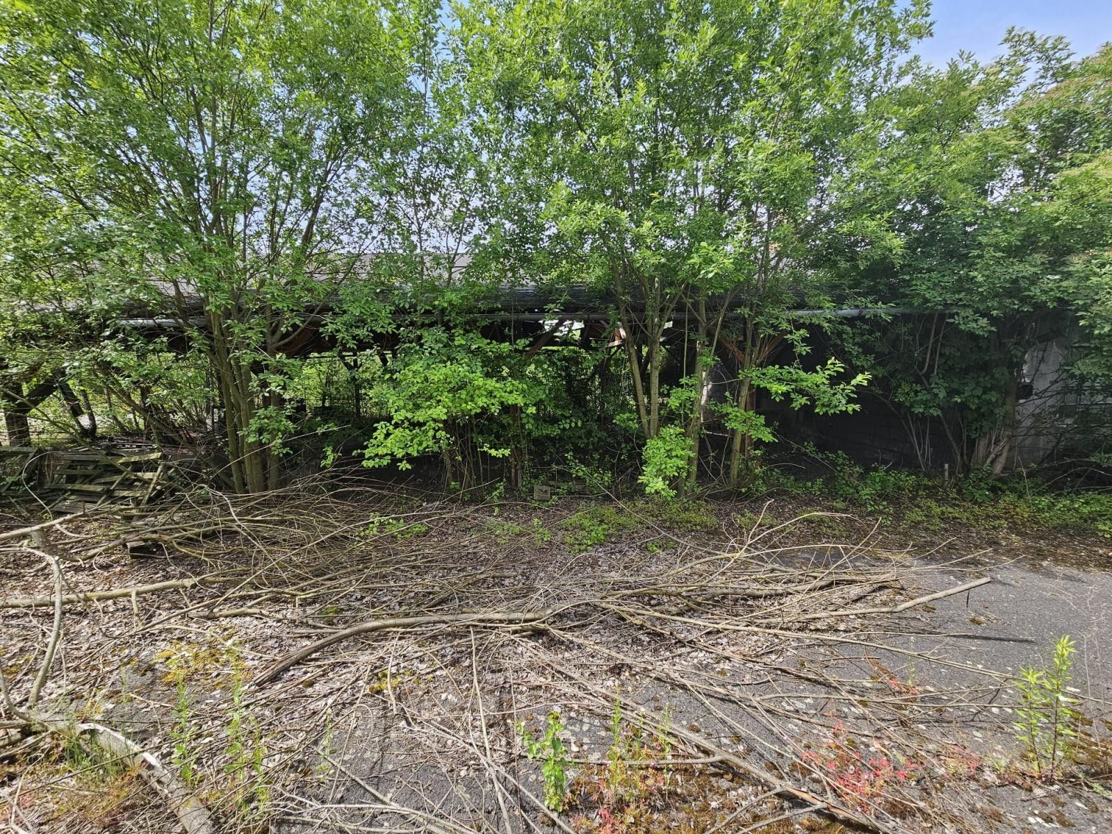 Prodej komerčního prostoru 3085 m² - foto 25