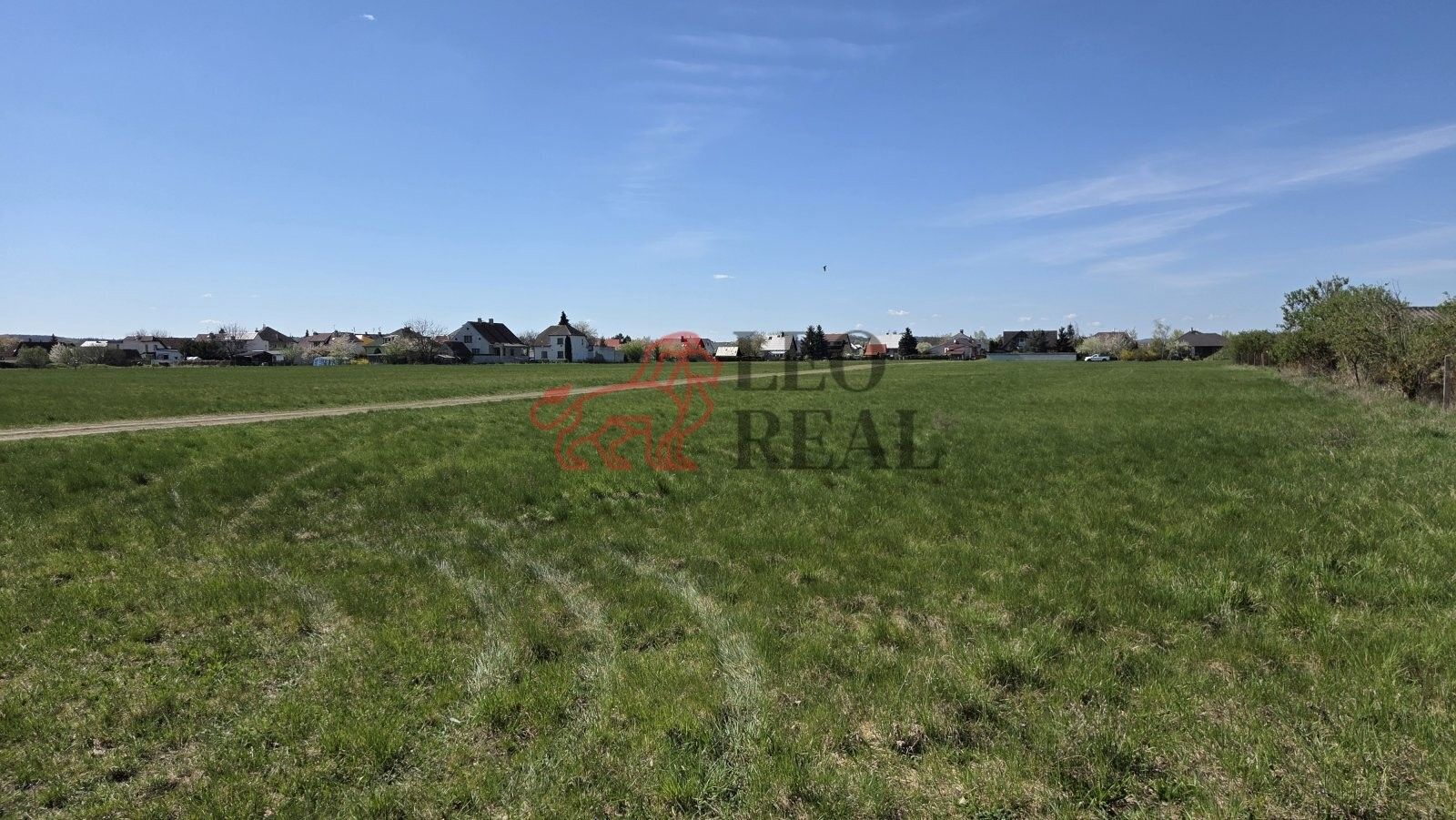 Prodej pozemku 24271 m² - foto 1