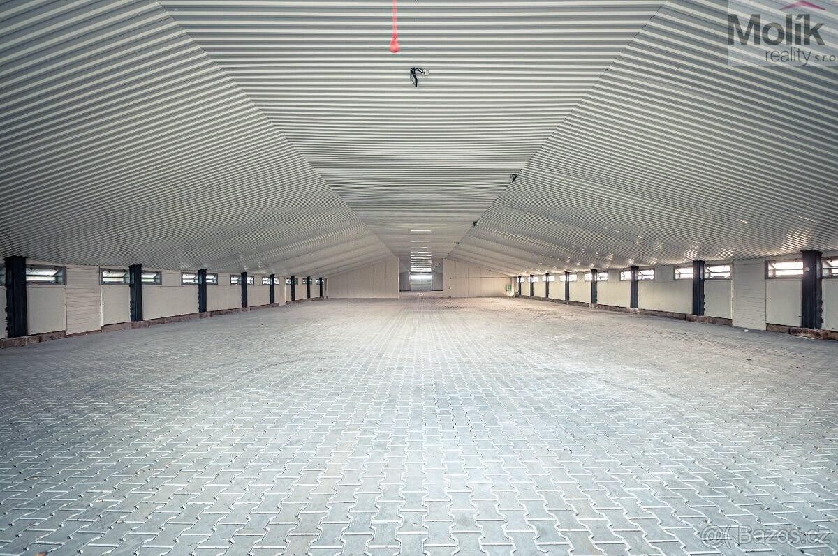 Pronájem komerčního prostoru 1700 m² - foto 5