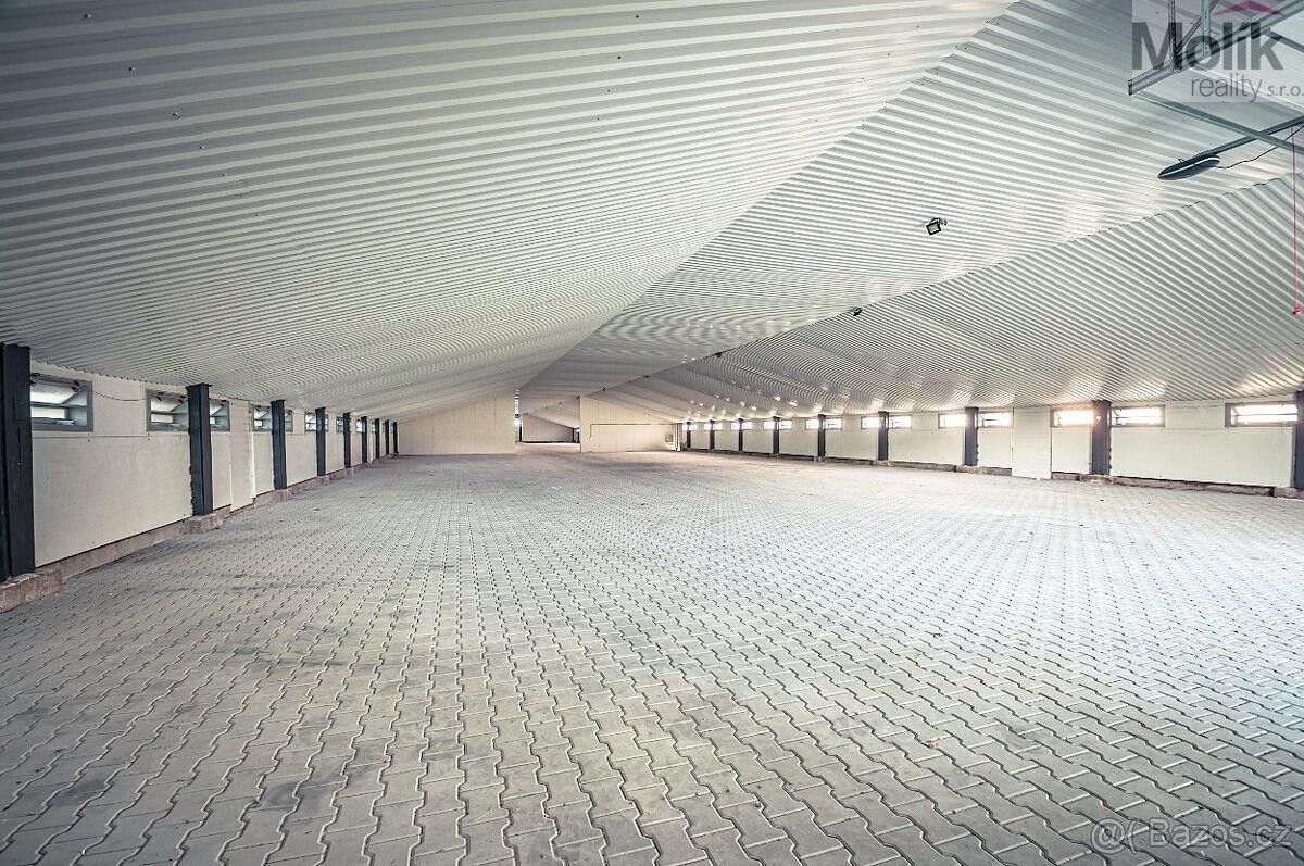 Pronájem komerčního prostoru 1700 m² - foto 6