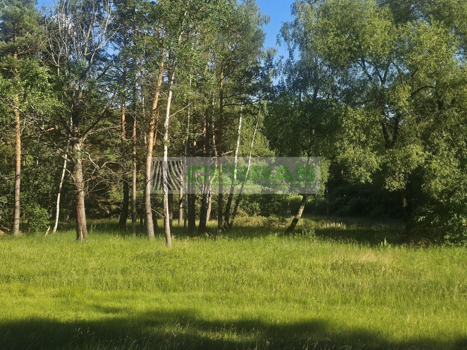 Prodej pozemku 3029 m² - foto 3