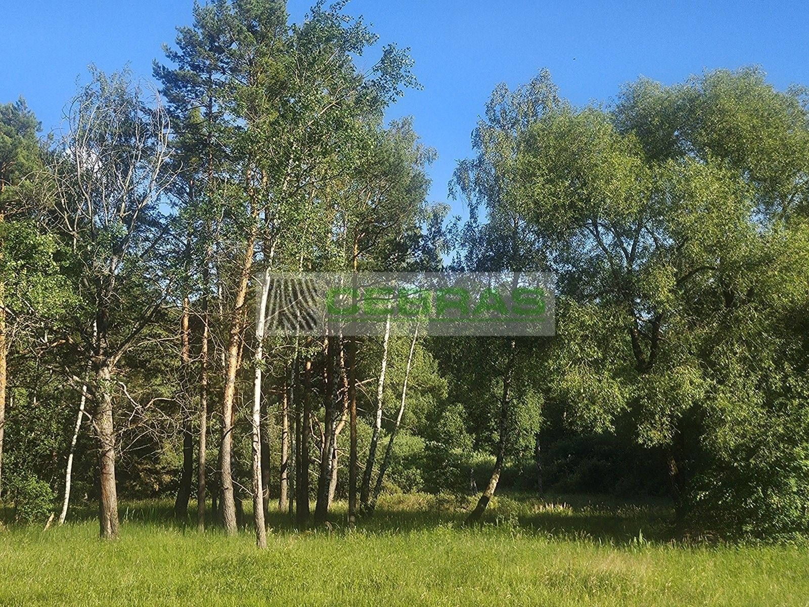 Prodej pozemku 3029 m² - foto 4