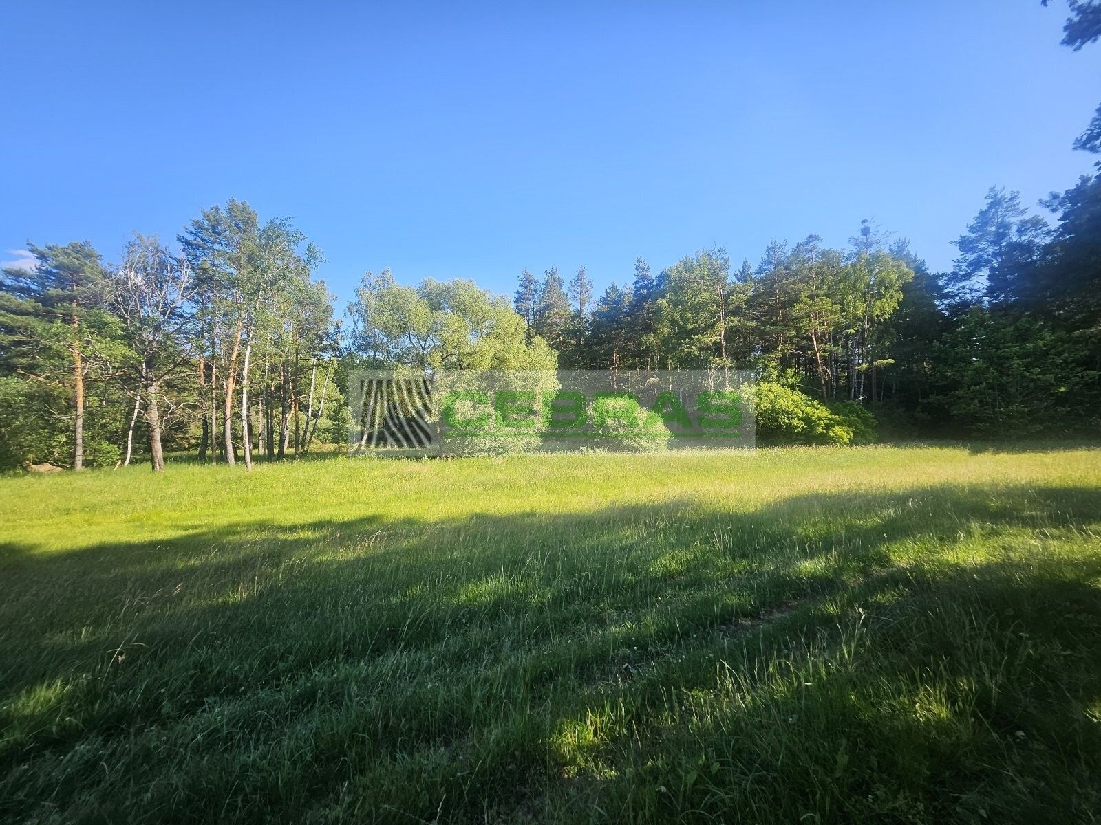 Prodej pozemku 3029 m² - foto 6