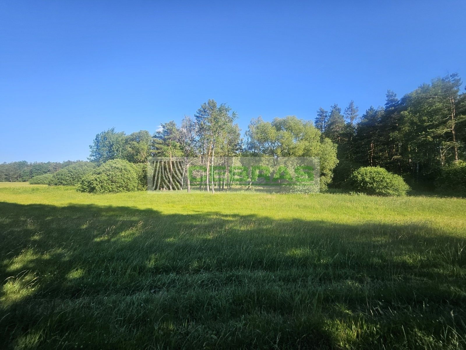 Prodej pozemku 3029 m² - foto 5