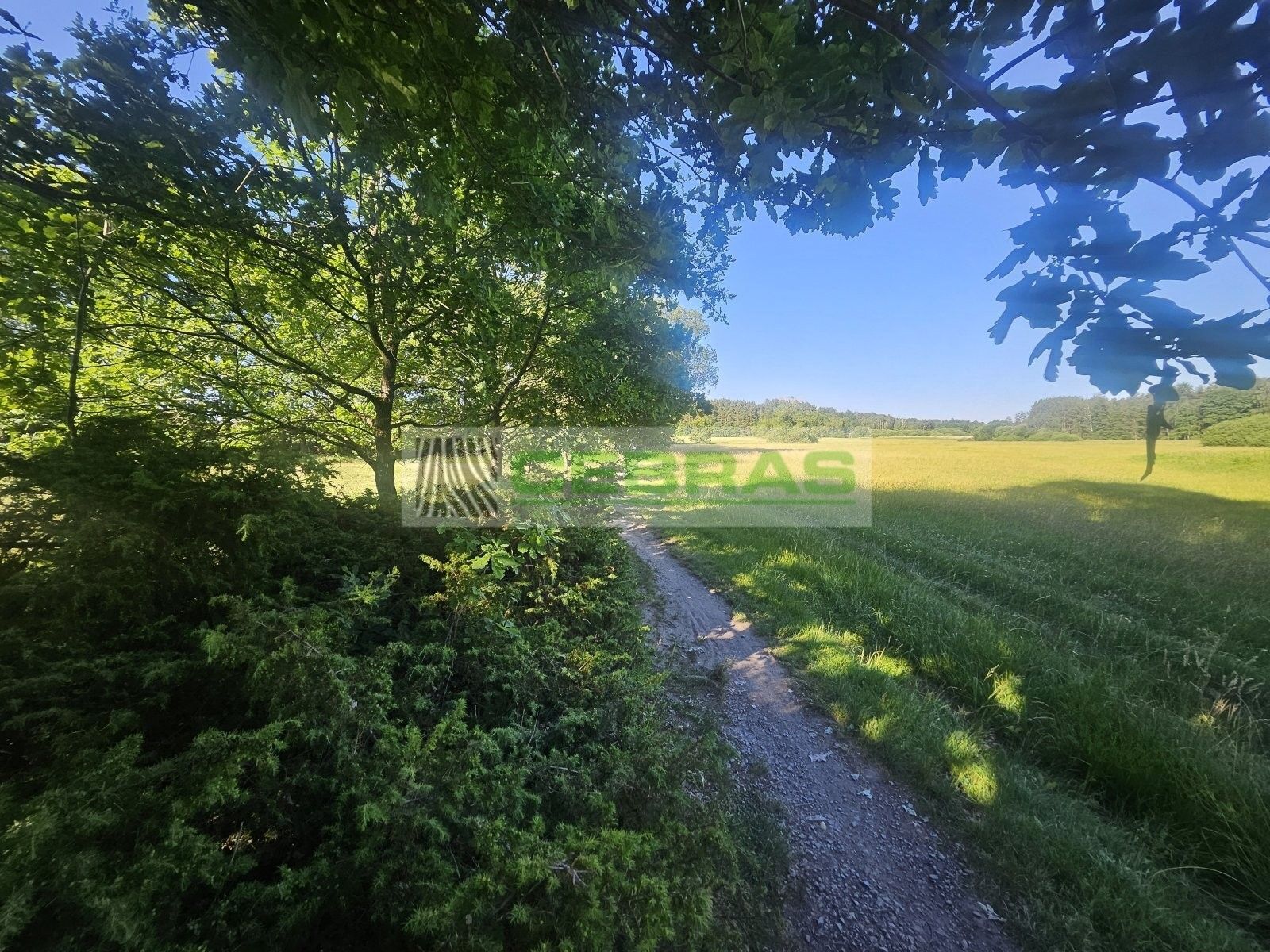 Prodej pozemku 3029 m² - foto 10