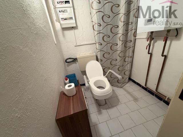 Prodej domu 782 m² - foto 20