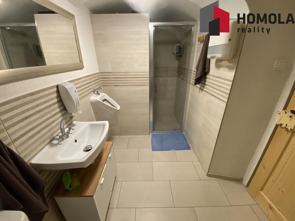 Prodej komerčního prostoru 500 m² - foto 14