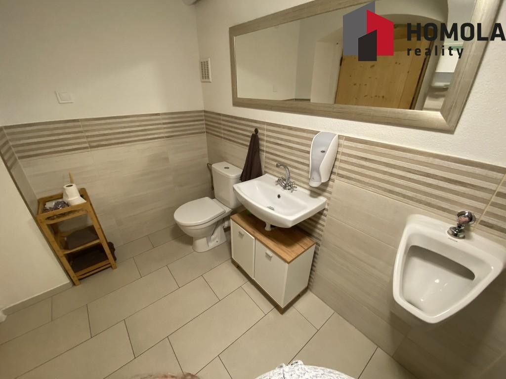 Prodej komerčního prostoru 500 m² - foto 15