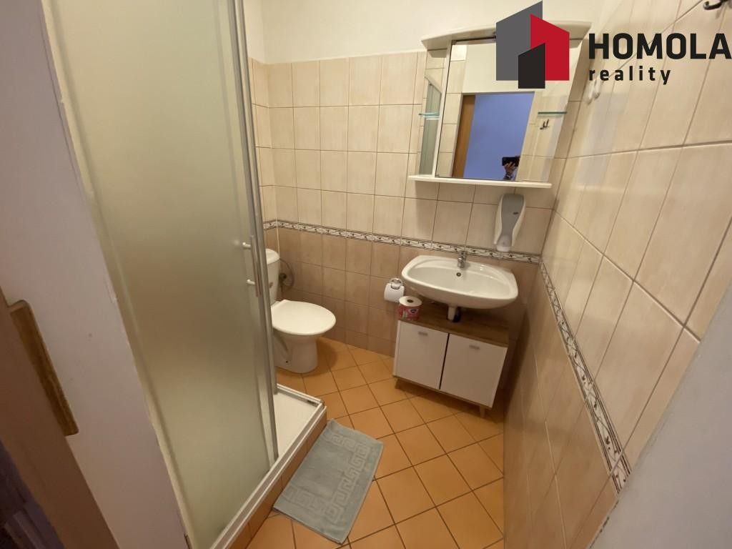 Prodej komerčního prostoru 500 m² - foto 20