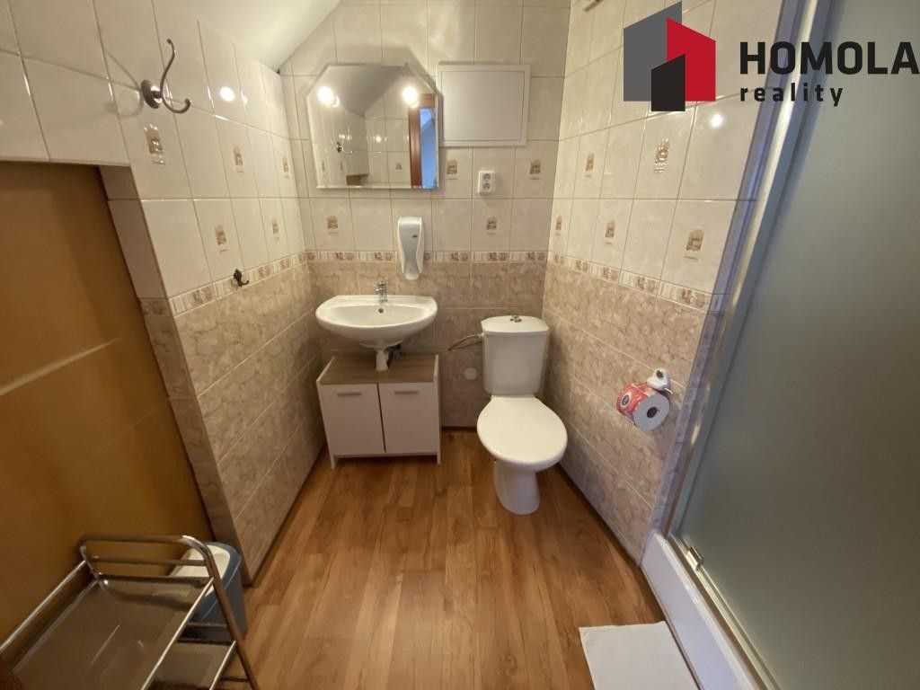 Prodej komerčního prostoru 500 m² - foto 22