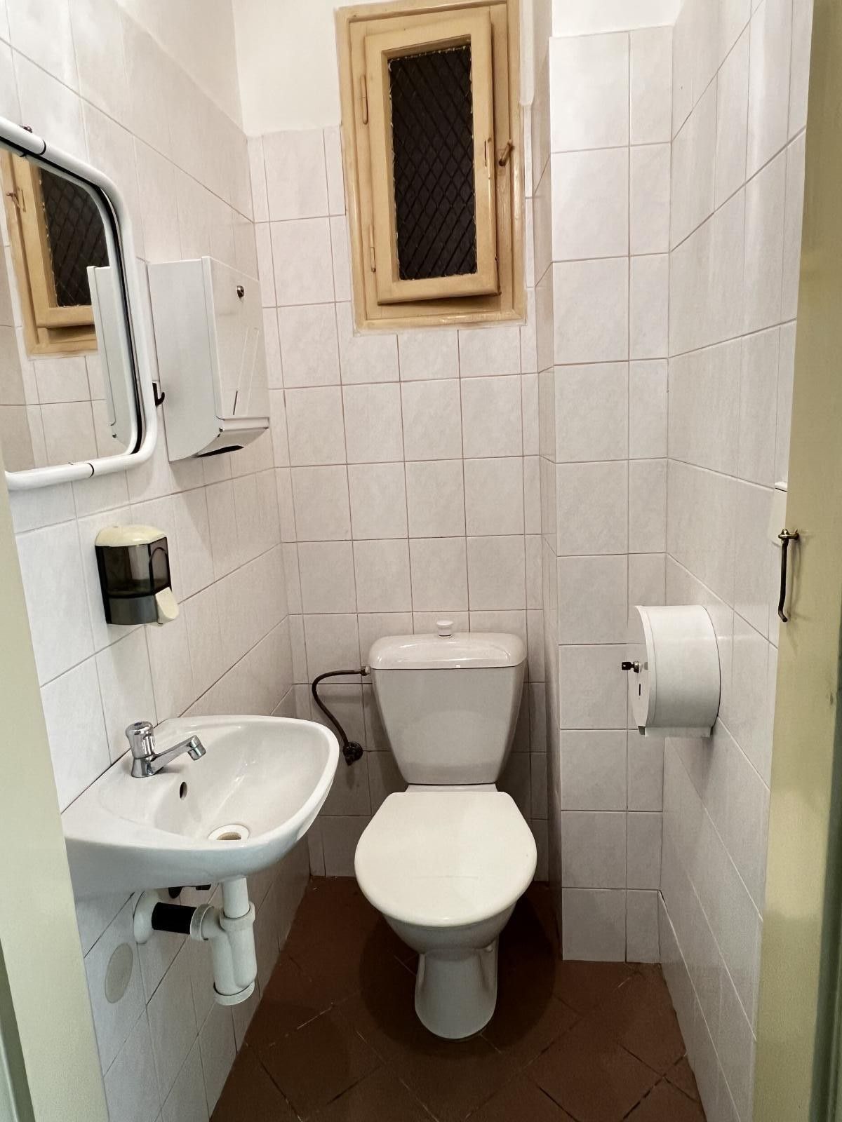 Pronájem komerčního prostoru 110 m² - foto 22