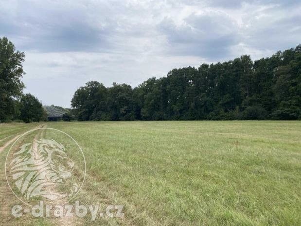 Prodej pozemku 83999 m² - foto 4