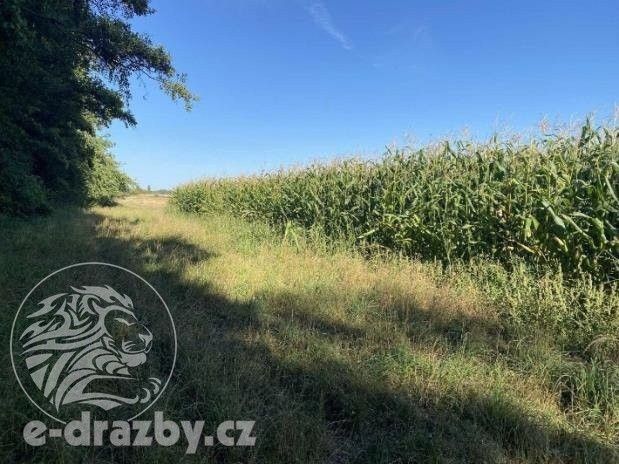 Prodej pozemku 83999 m² - foto 6