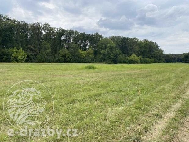 Prodej pozemku 83999 m² - foto 5