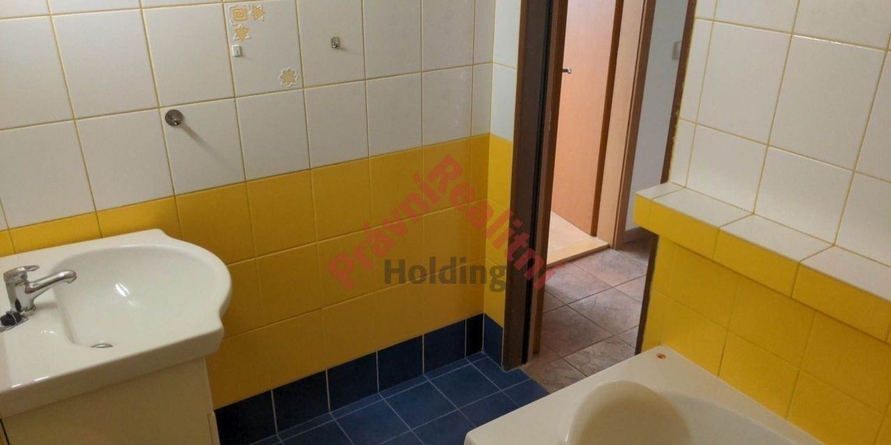 Pronájem bytu 3+kk 65 m² - foto 12