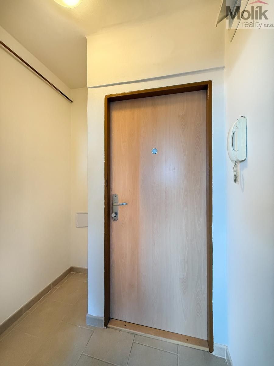 Pronájem bytu 1+kk 33 m² - foto 13