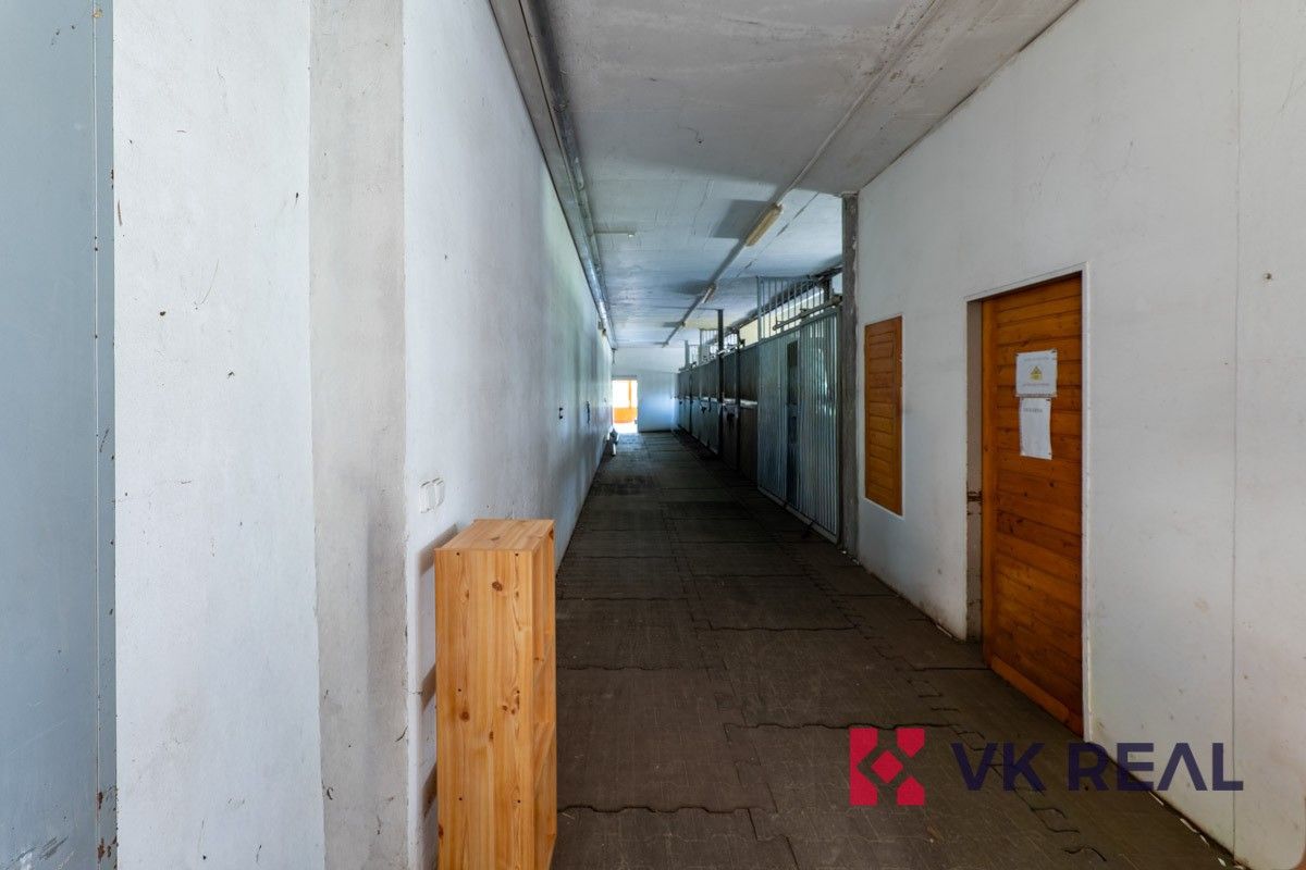 Prodej nemovitosti 3100 m² - foto 17