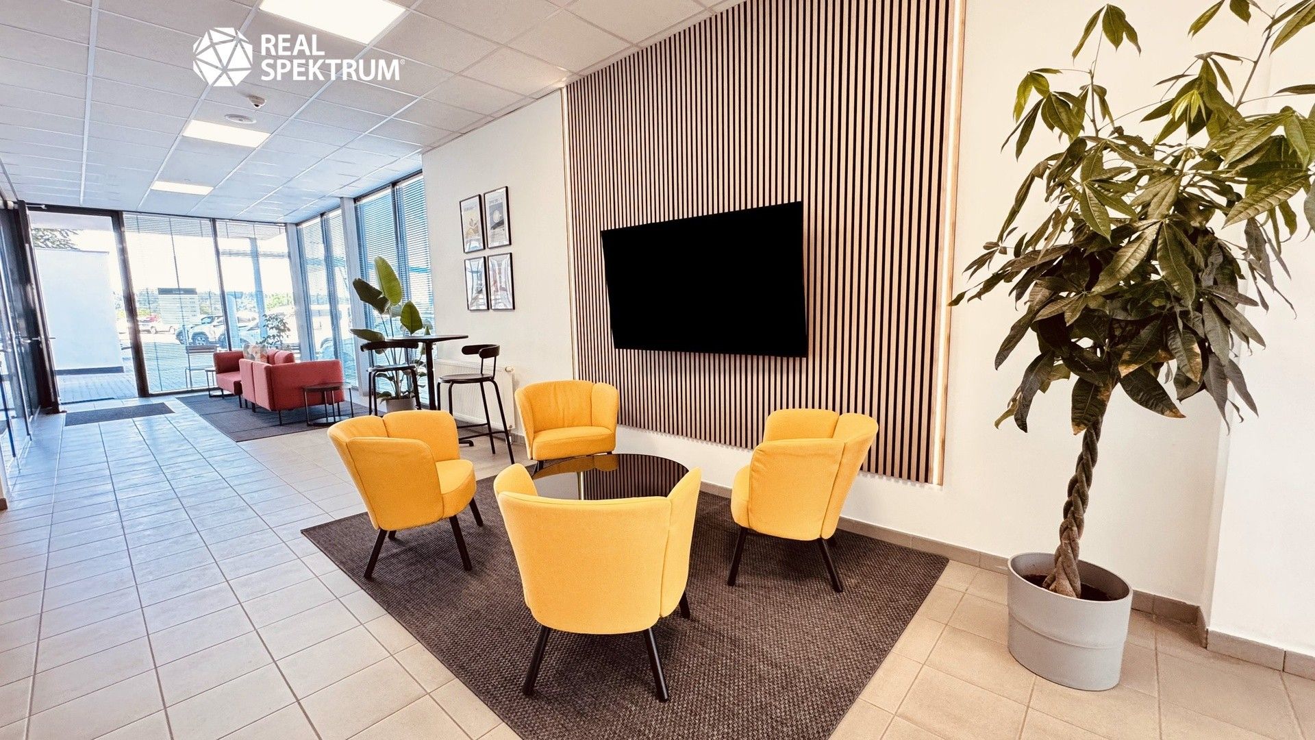 Pronájem komerčního prostoru 442 m² - foto 3