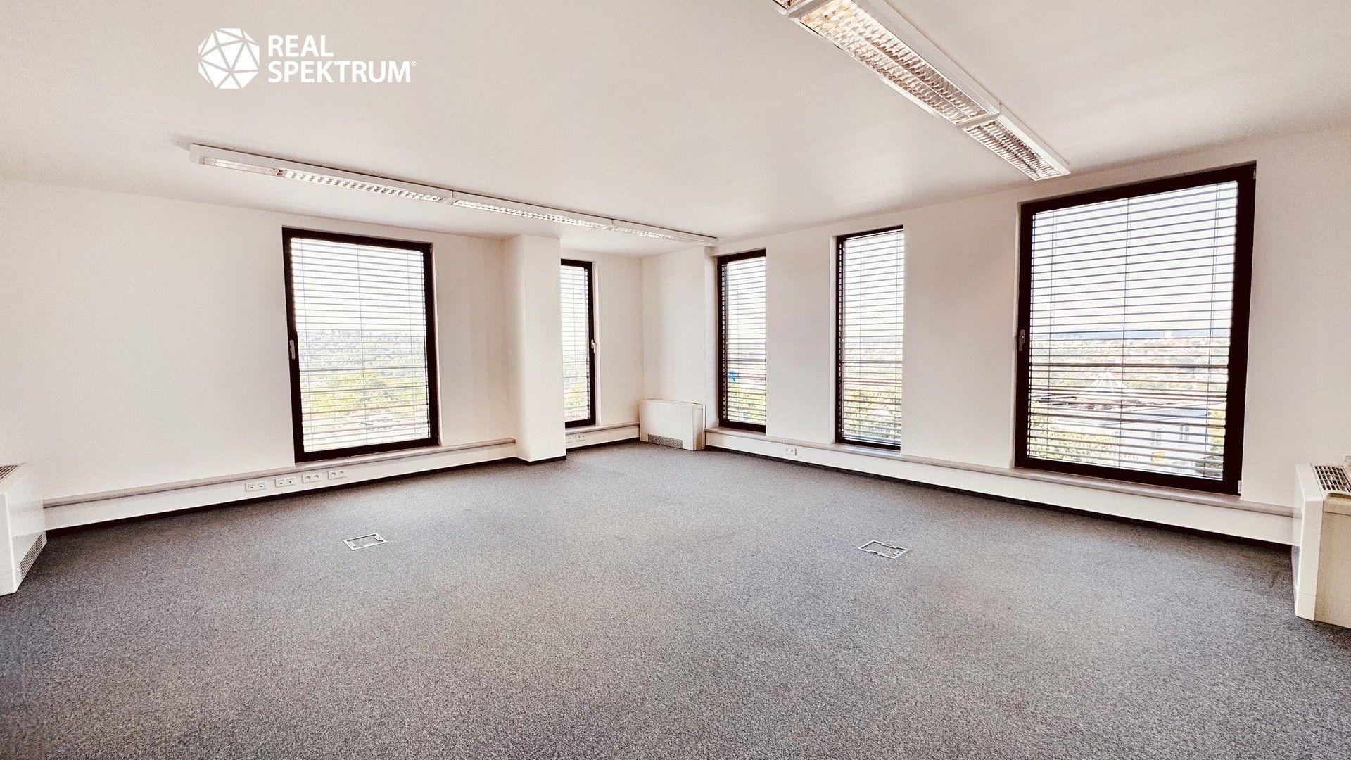 Pronájem komerčního prostoru 442 m² - foto 7
