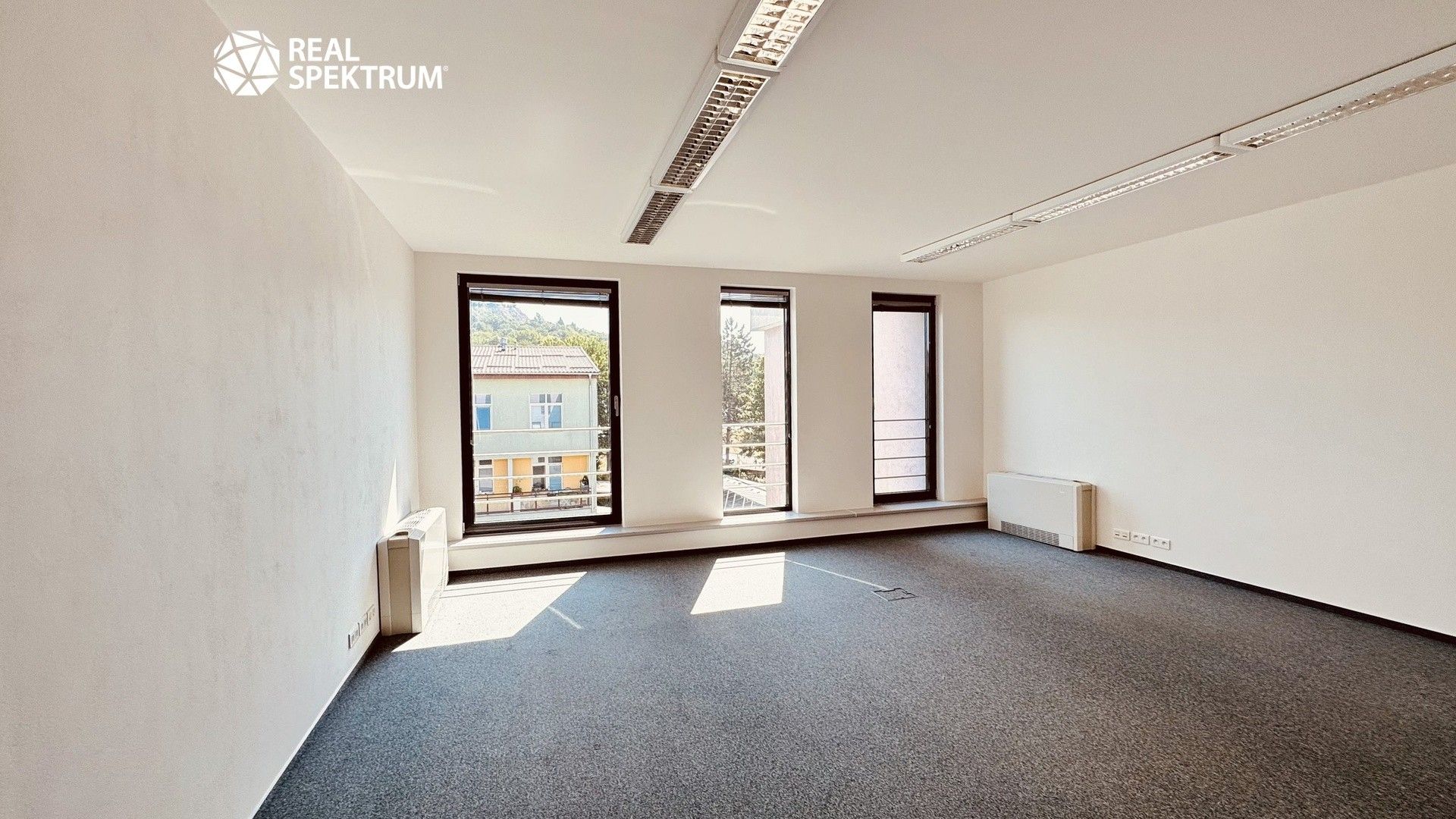 Pronájem komerčního prostoru 442 m² - foto 10