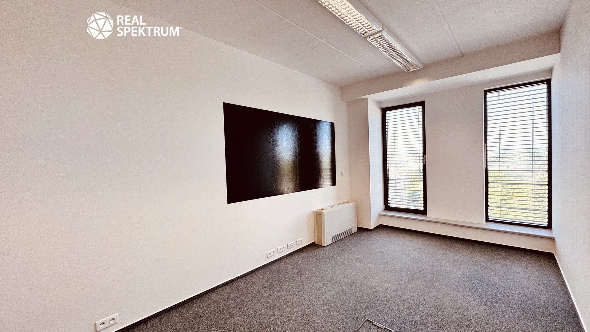Pronájem komerčního prostoru 442 m² - foto 13