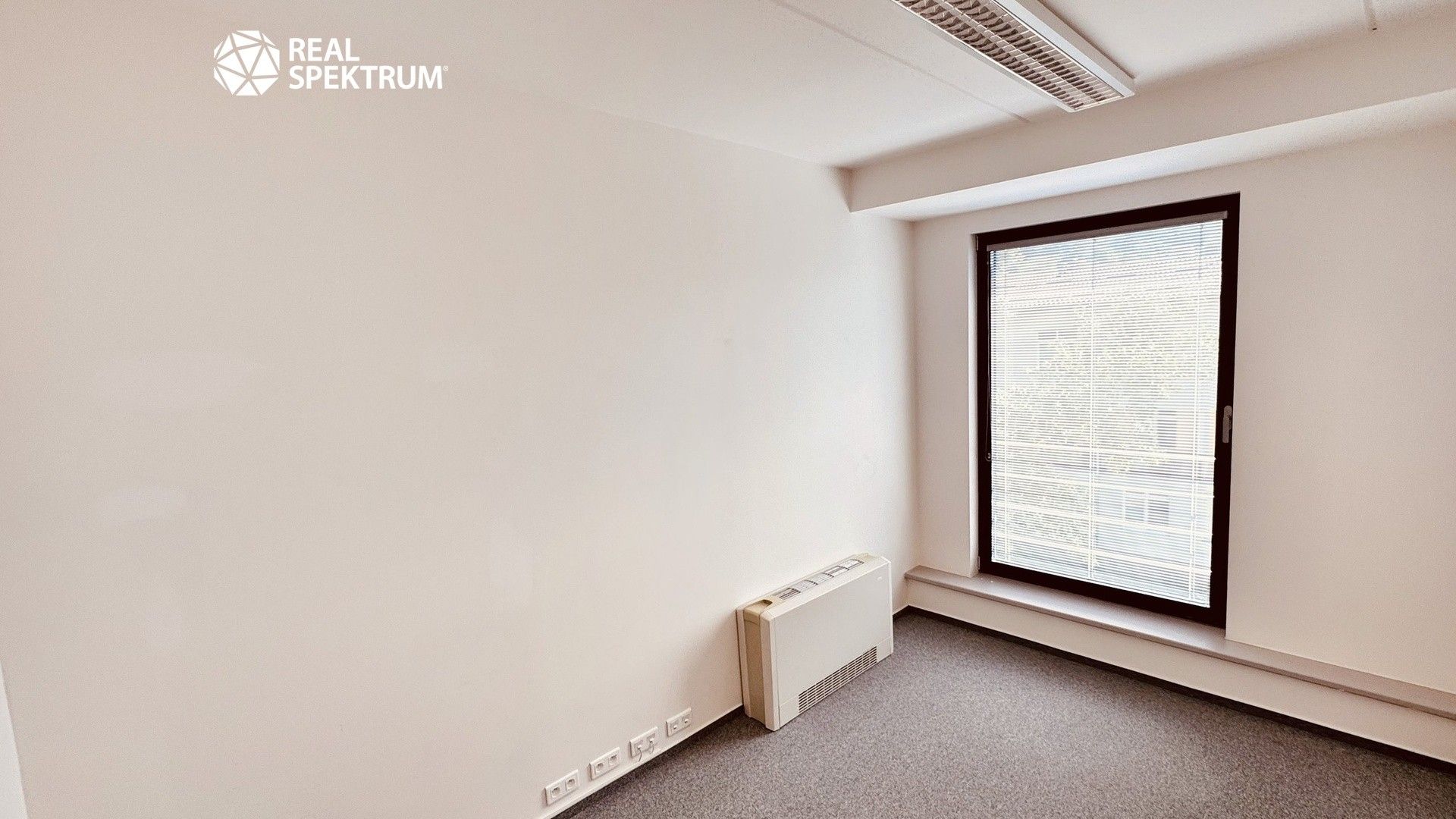 Pronájem komerčního prostoru 442 m² - foto 23