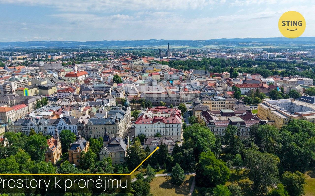 Pronájem komerčního prostoru 315 m² - foto 5