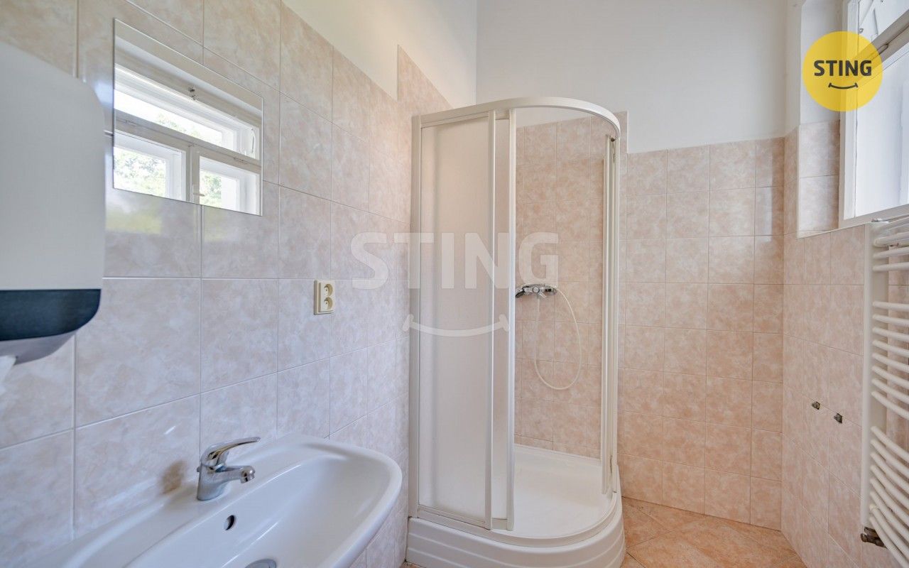 Pronájem komerčního prostoru 315 m² - foto 20