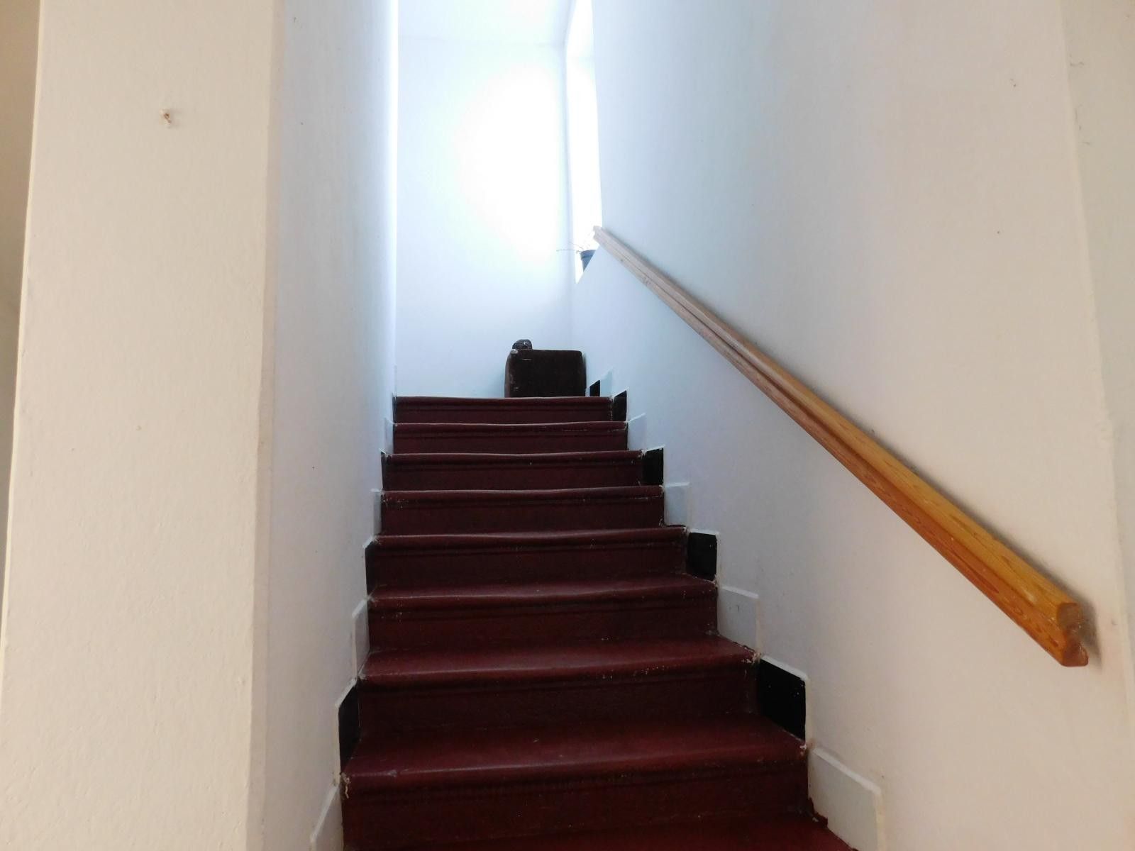 Prodej domu 340 m² - foto 12
