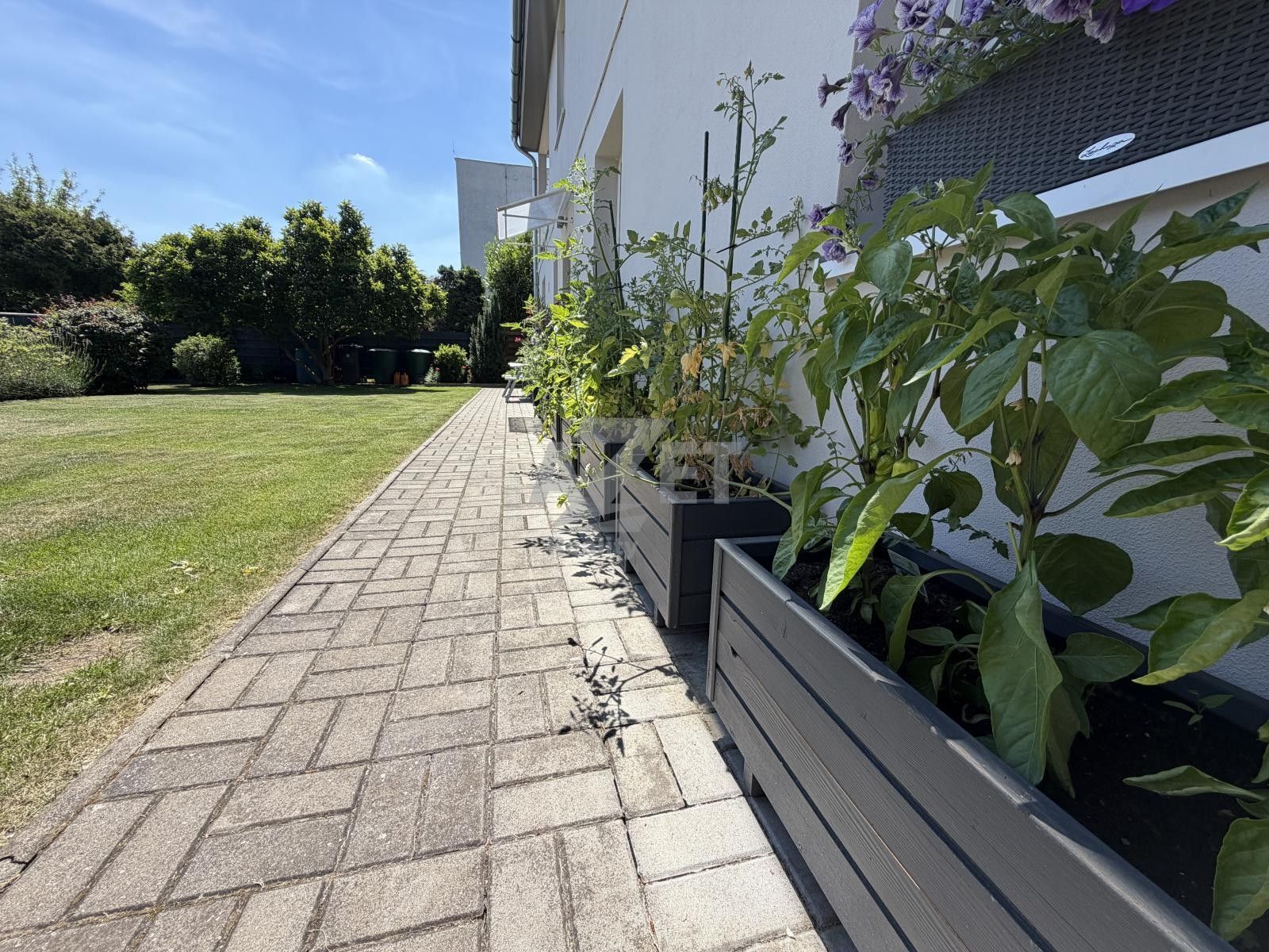 Prodej domu 300 m² - foto 30