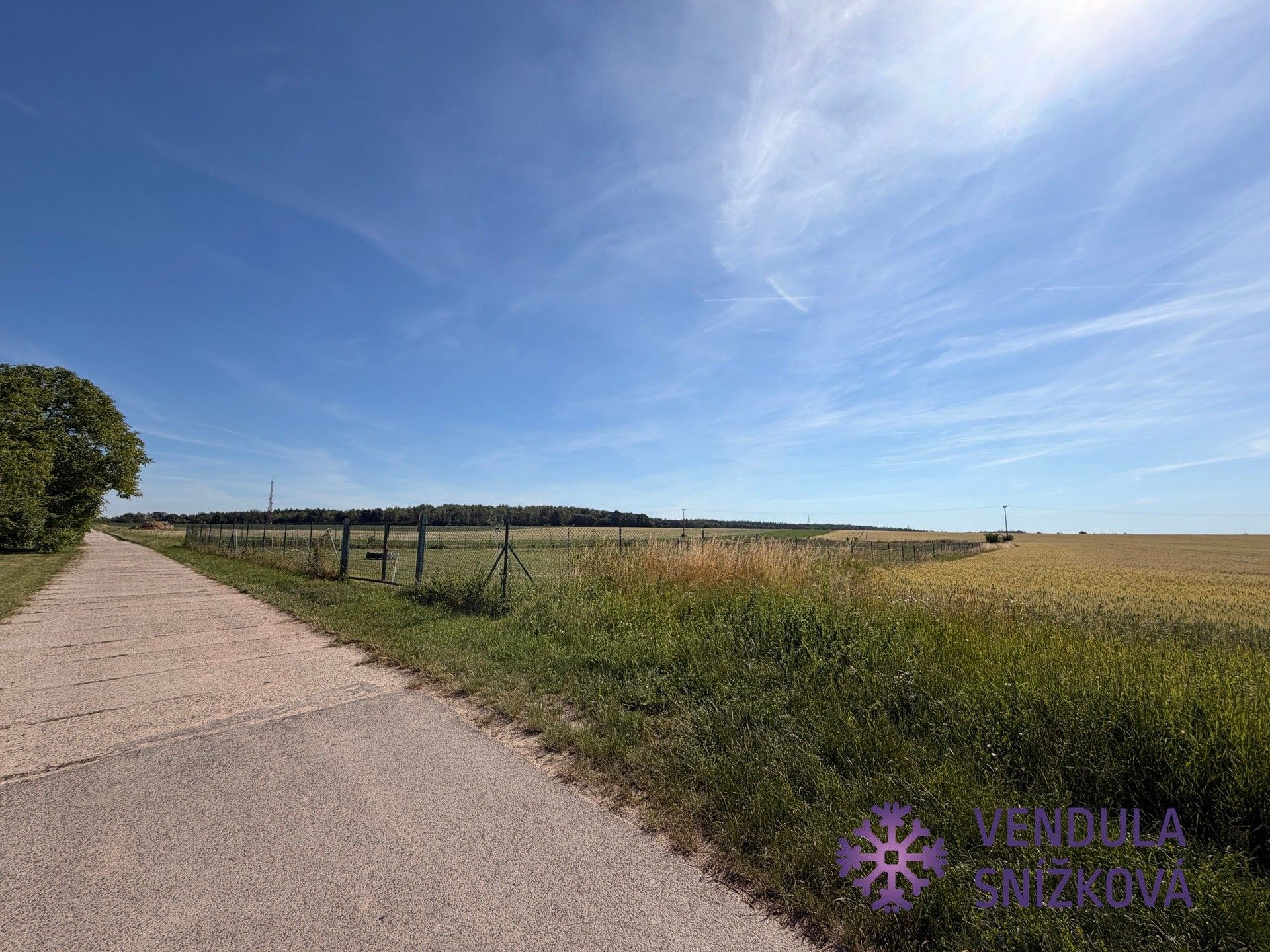 Prodej pozemku 5343 m² - foto 6