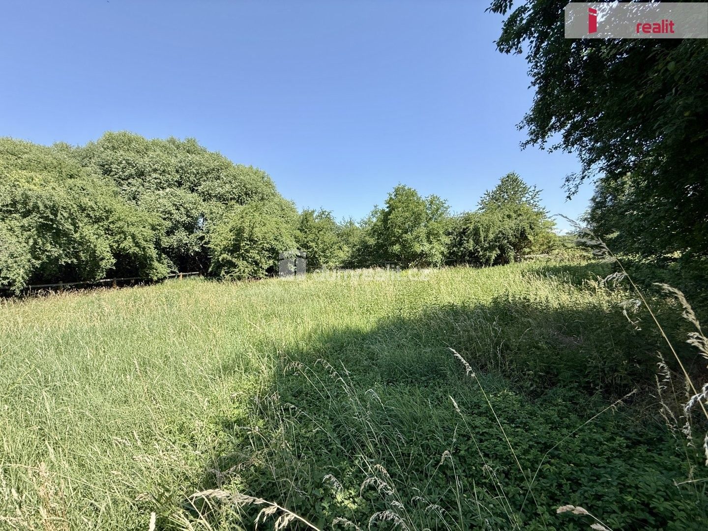 Pronájem pozemku 5135 m² - foto 1
