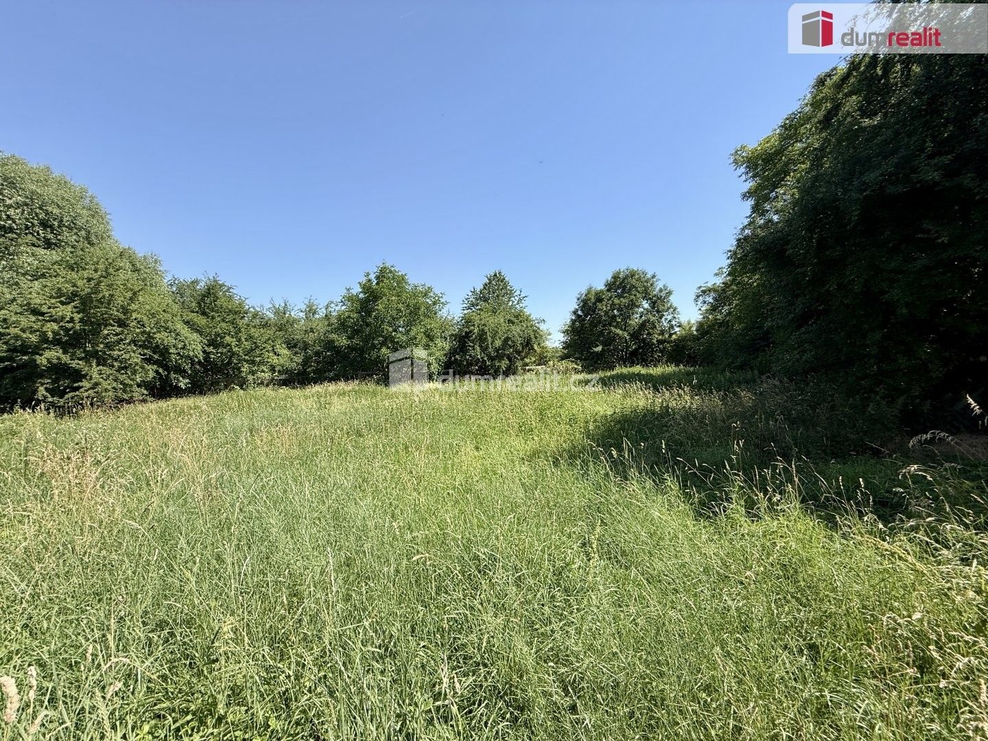 Pronájem pozemku 5135 m² - foto 6