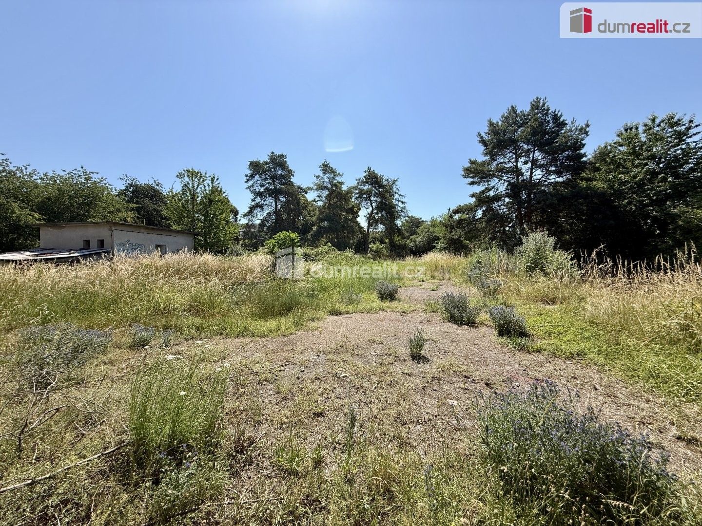 Pronájem pozemku 5135 m² - foto 11