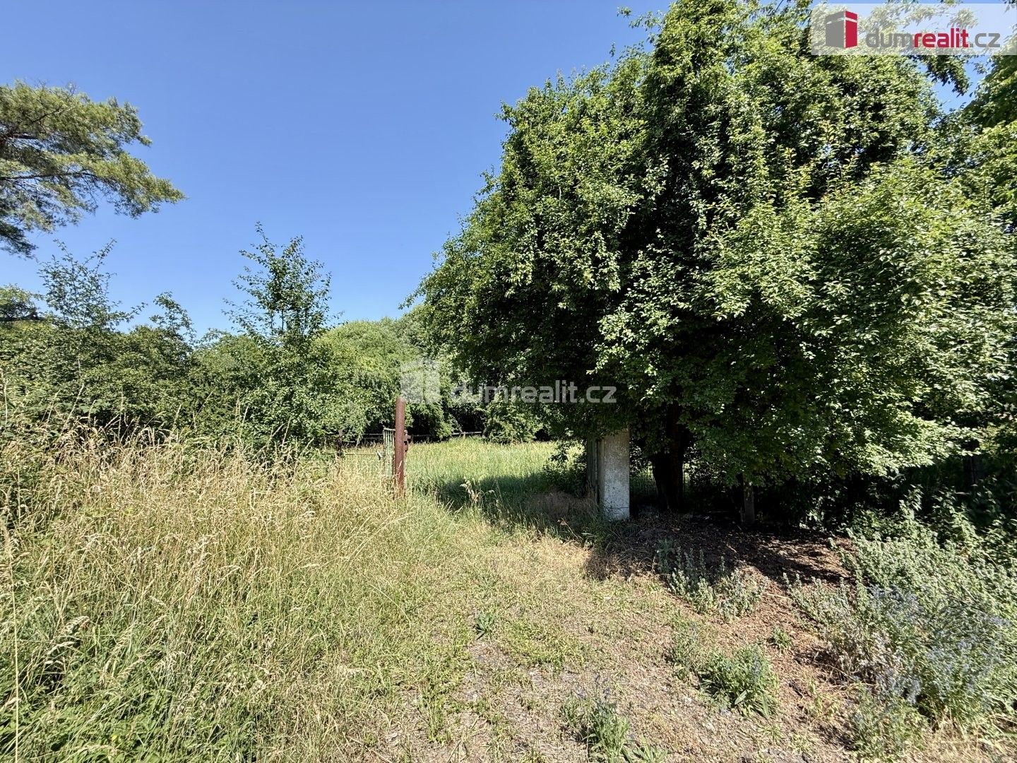 Pronájem pozemku 5135 m² - foto 10