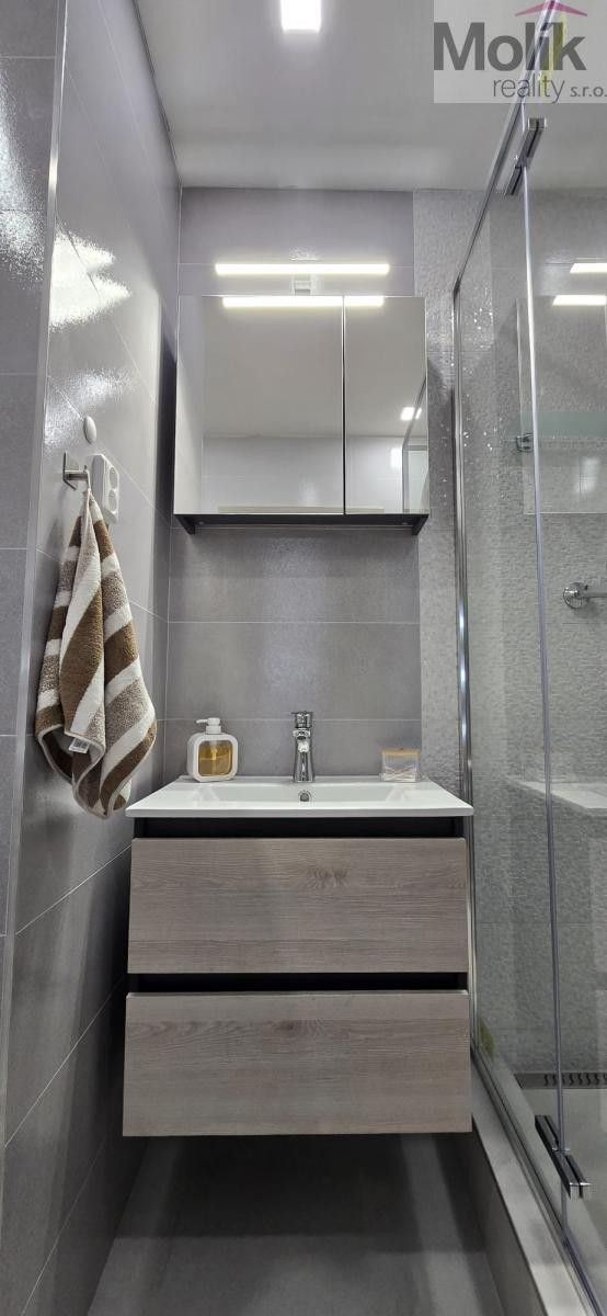 Pronájem bytu 3+1 53 m² - foto 8